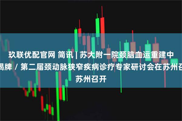 玖联优配官网 简讯 | 苏大附一院颈脑血运重建中心揭牌 / 第二届颈动脉狭窄疾病诊疗专家研讨会在苏州召开