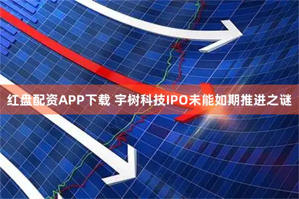 红盘配资APP下载 宇树科技IPO未能如期推进之谜