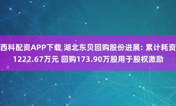 西科配资APP下载 湖北东贝回购股份进展: 累计耗资1222.67万元 回购173.90万股用于股权激励