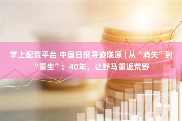 掌上配资平台 中国日报寻迹陇原 | 从“消失”到“重生”：40年，让野马重返荒野